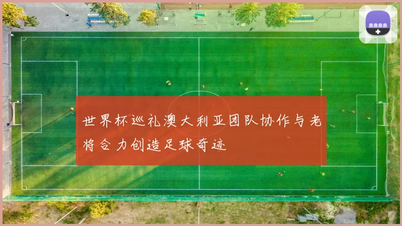 世界杯巡礼澳大利亚团队协作与老将合力创造足球奇迹