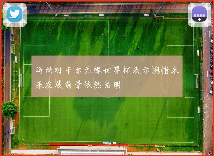 海纳对卡尔无缘世界杯表示惋惜未来发展前景依然光明