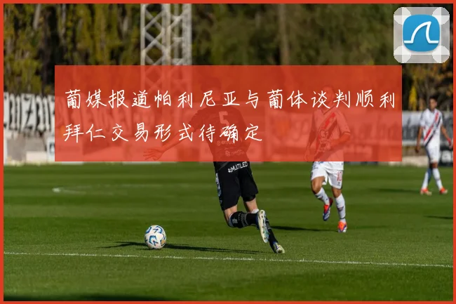 葡媒报道帕利尼亚与葡体谈判顺利拜仁交易形式待确定