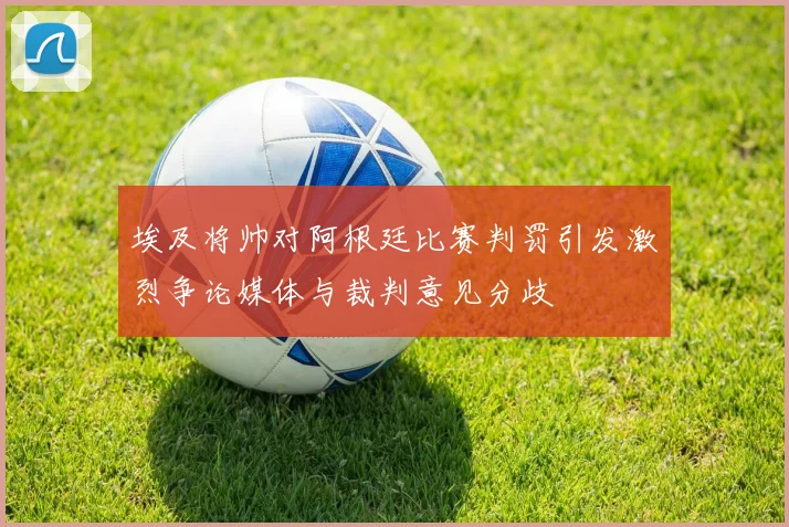 埃及将帅对阿根廷比赛判罚引发激烈争论媒体与裁判意见分歧